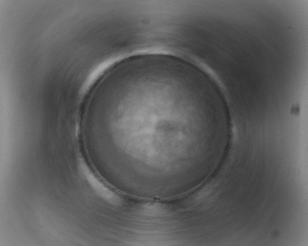 X0000113251416200909171615