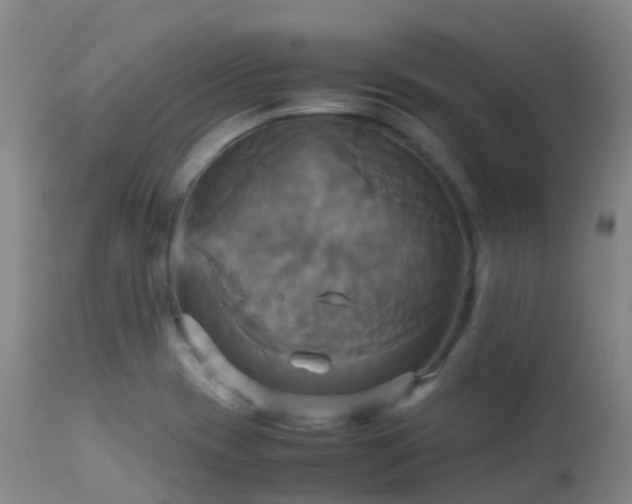 X0000113251417200909171615