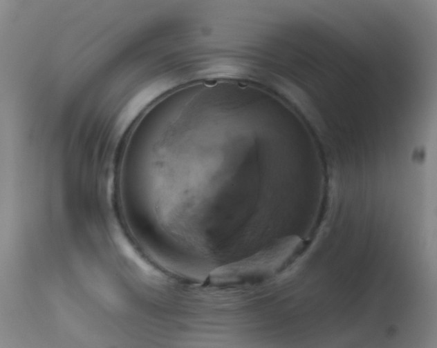X0000113251418200909171615