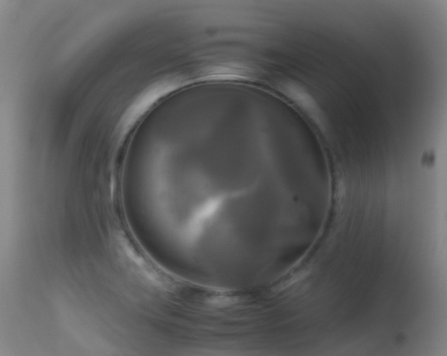 X0000113251419200909171615