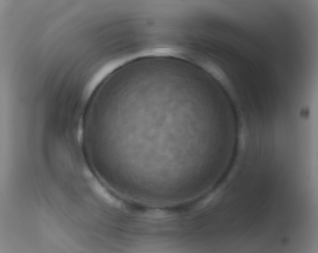 X0000113251420200909171615