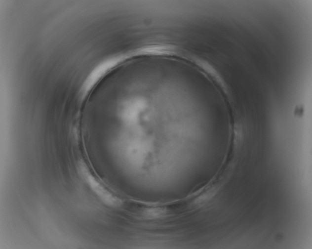 X0000113251421200909171615