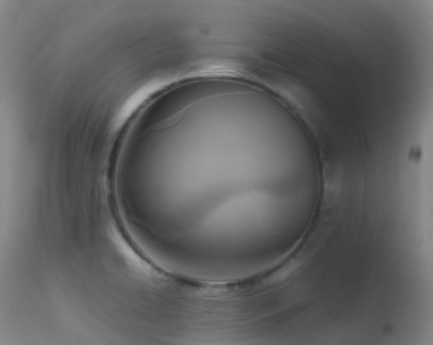 X0000113251422200909171615