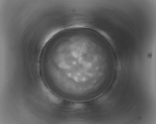 X0000113251423200909171615