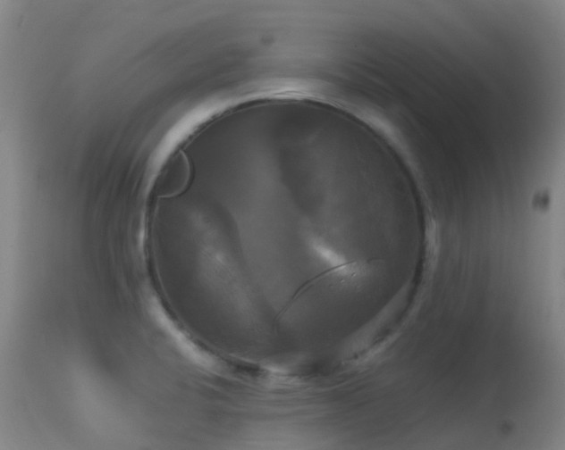 X0000113251424200909171615