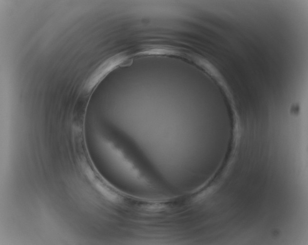 X0000113251425200909171615