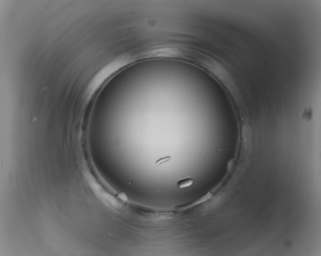 X0000113251426200909171615