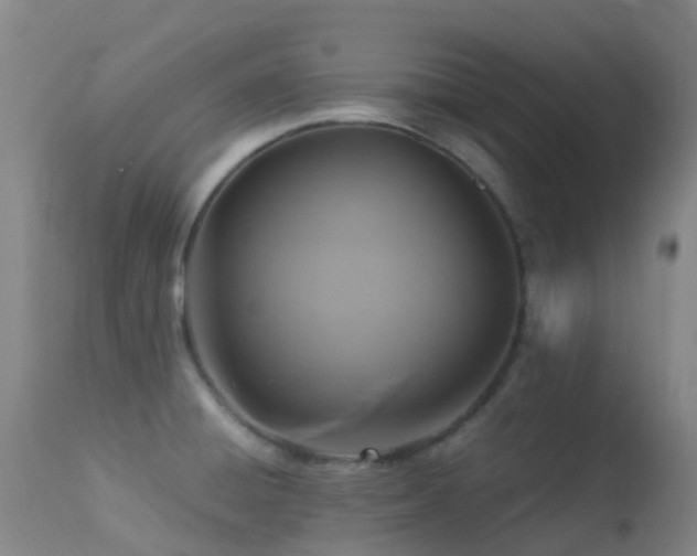 X0000113251428200909171615