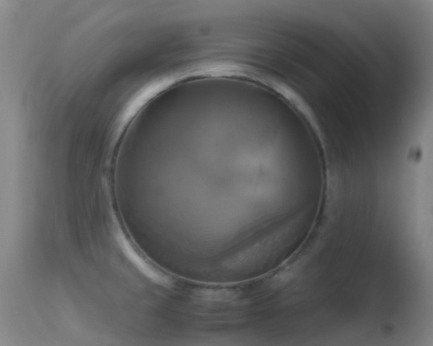 X0000113251429200909171615