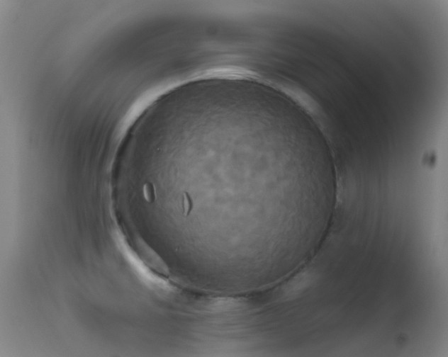 X0000113251430200909171615