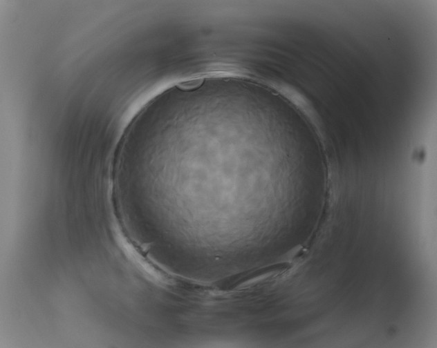 X0000113251431200909171615