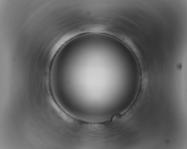 X0000113251432200909171616
