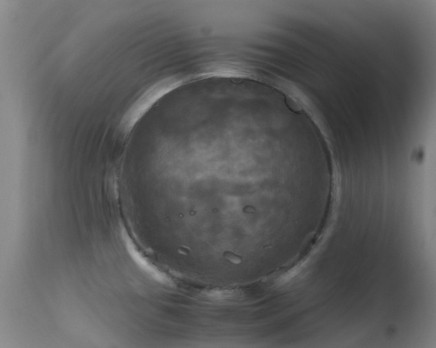 X0000113251433200909171616