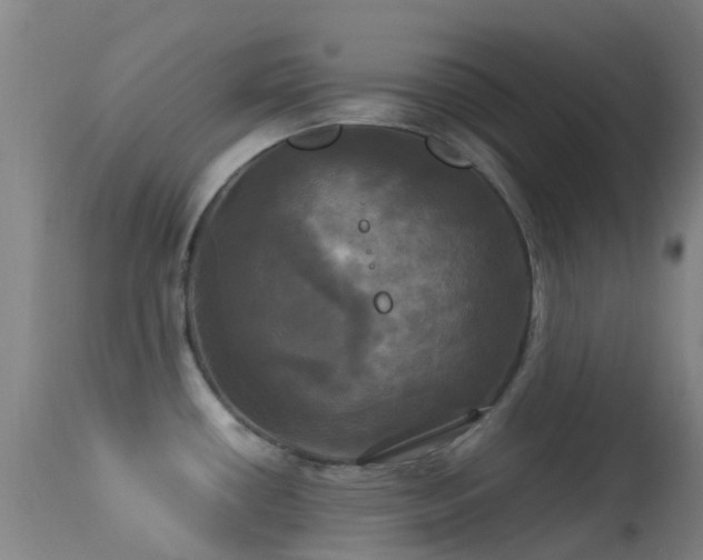 X0000113251434200909171616