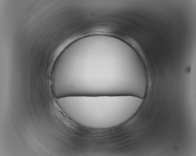 X0000113251435200909171616