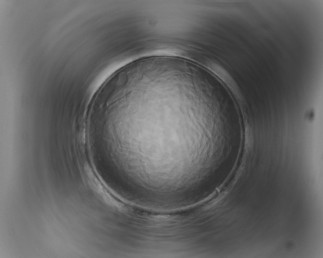 X0000113251436200909171616