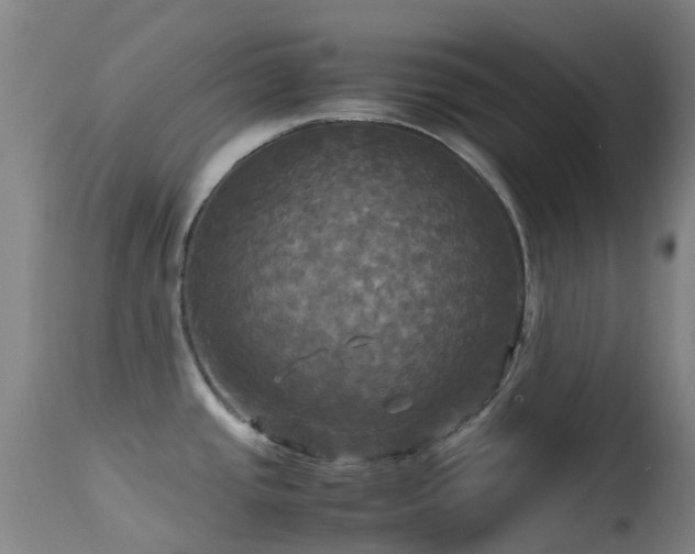 X0000113251437200909171616