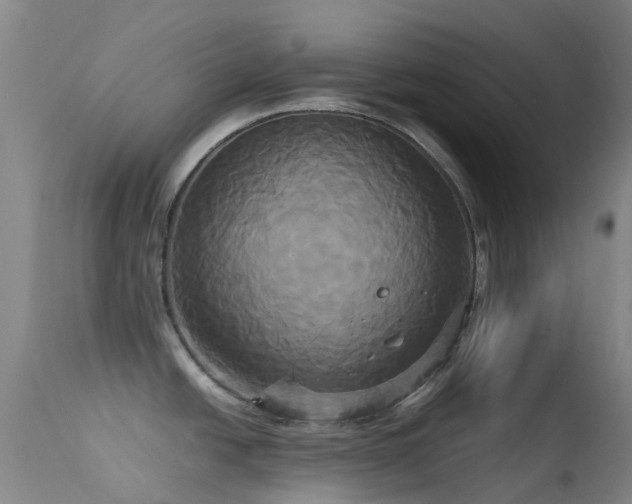 X0000113251438200909171616
