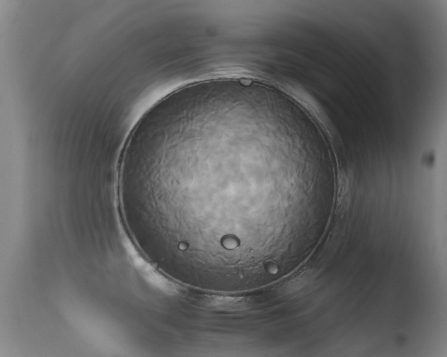 X0000113251439200909171616