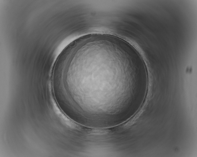 X0000113251440200909171616