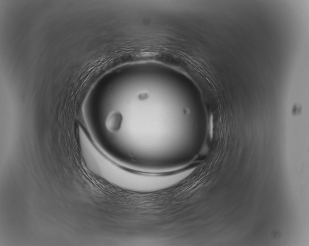 X0000113251441200909171615