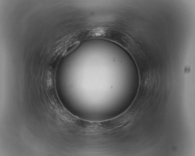 X0000113251442200909171615