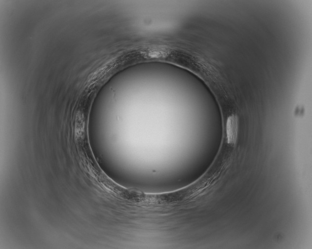 X0000113251443200909171615
