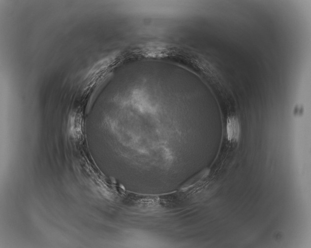 X0000113251444200909171615