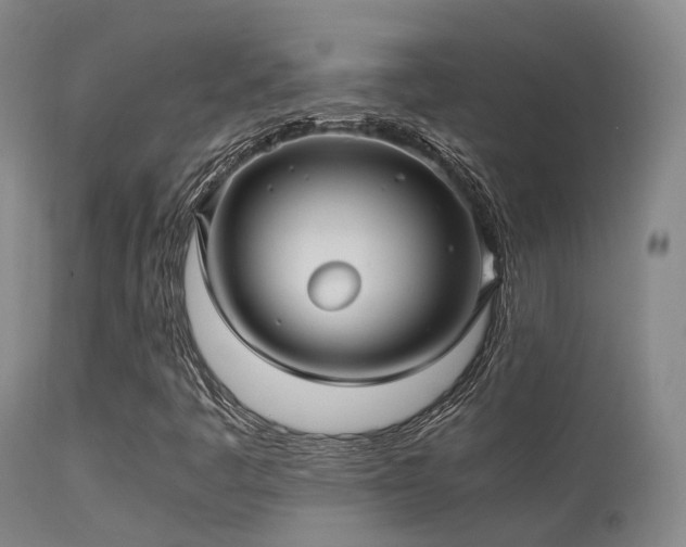 X0000113251445200909171615