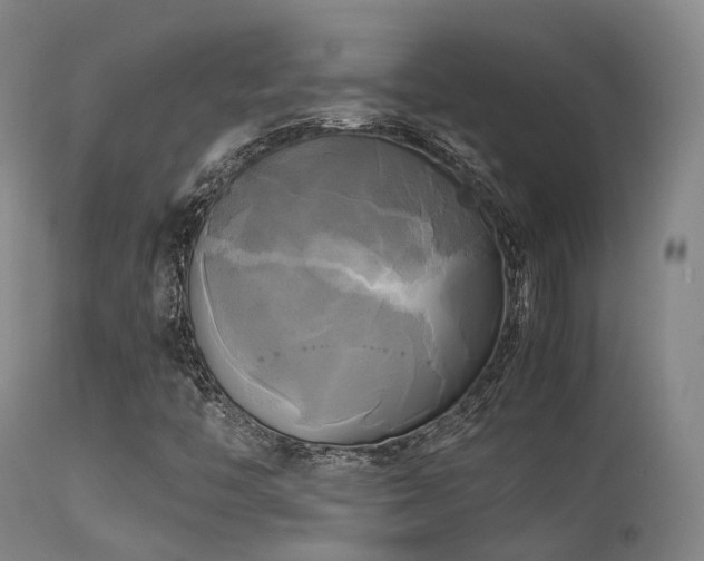 X0000113251446200909171615