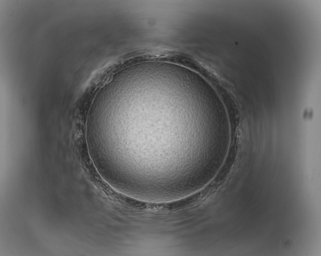 X0000113251447200909171615