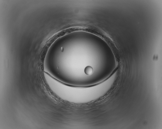 X0000113251448200909171615
