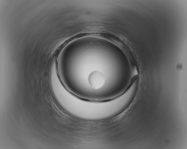 X0000113251449200909171615