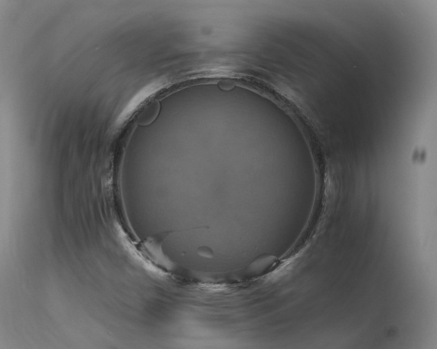 X0000113251450200909171615
