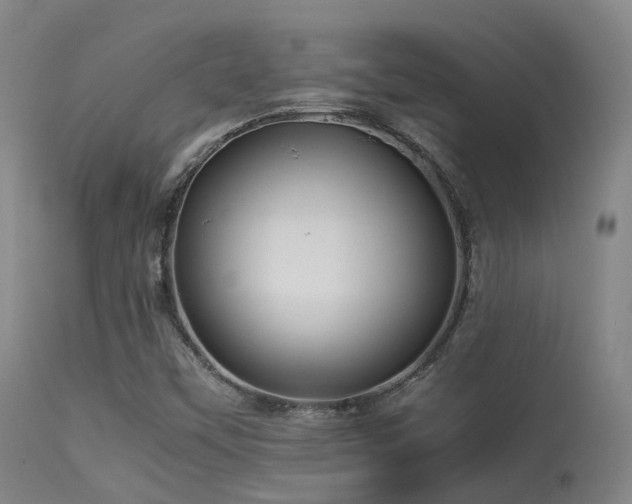 X0000113251451200909171615
