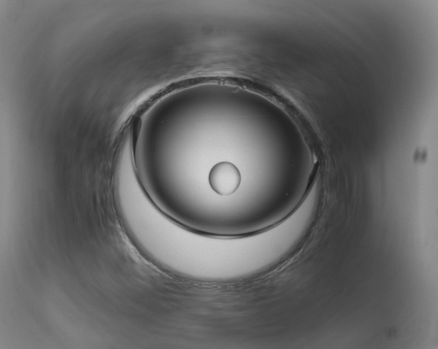 X0000113251452200909171615