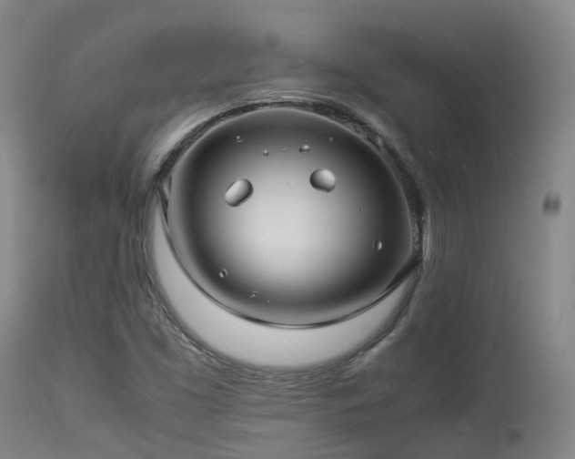 X0000113251453200909171615
