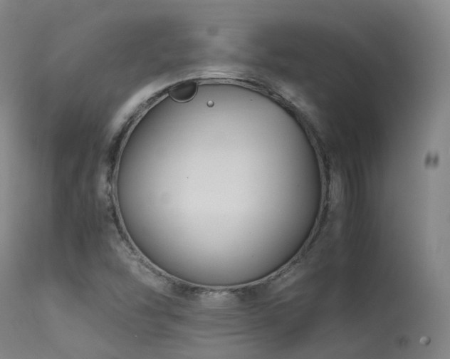 X0000113251454200909171615