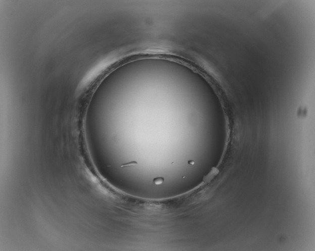X0000113251456200909171615