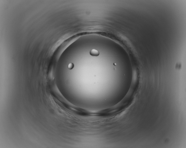 X0000113251457200909171615