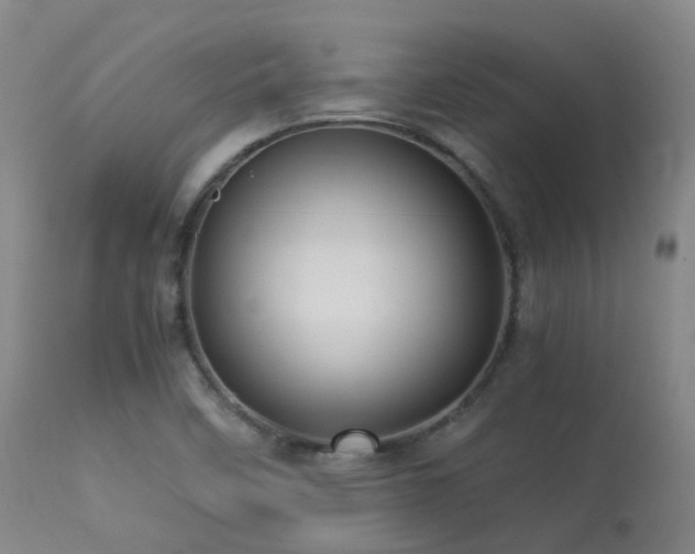 X0000113251458200909171615