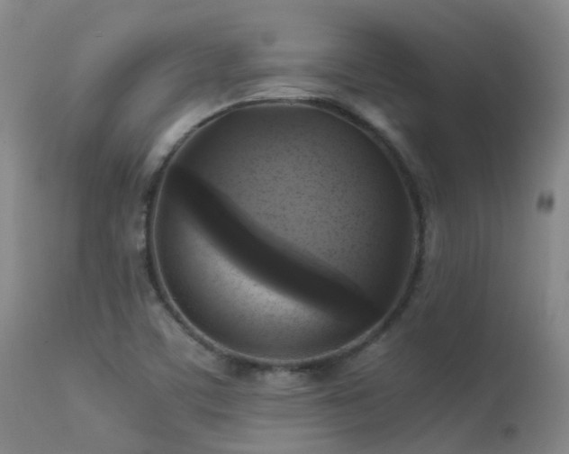 X0000113251459200909171615