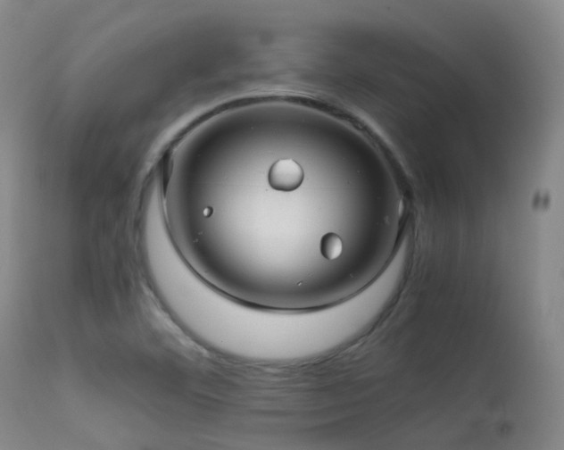 X0000113251460200909171615