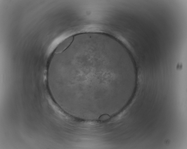 X0000113251461200909171615