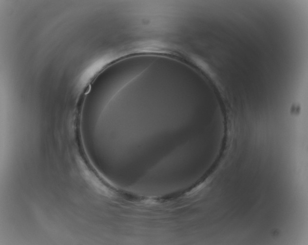 X0000113251463200909171615