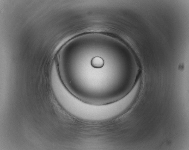 X0000113251465200909171615