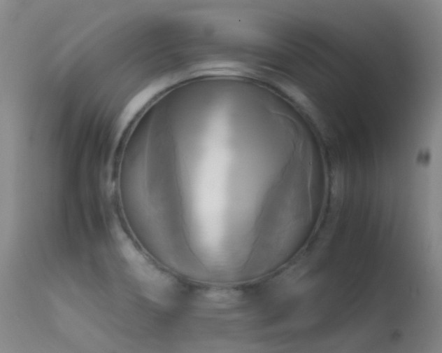X0000113251466200909171615
