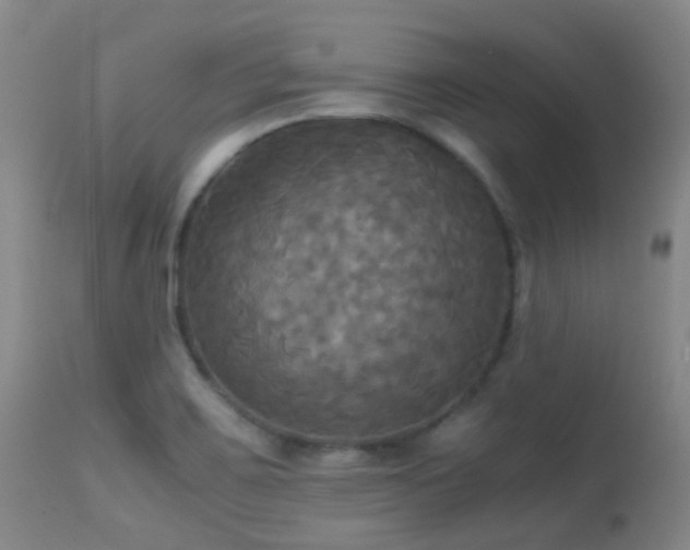 X0000113251467200909171615
