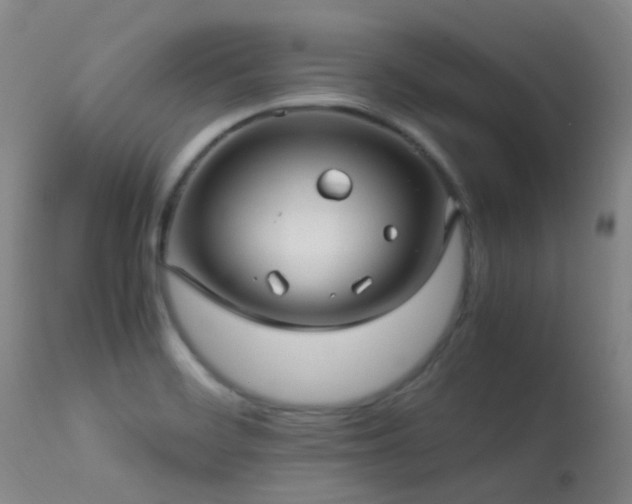 X0000113251468200909171615