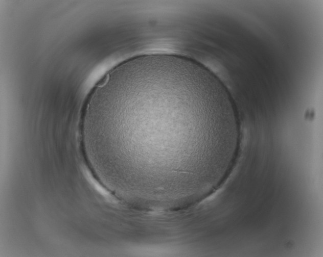 X0000113251469200909171615